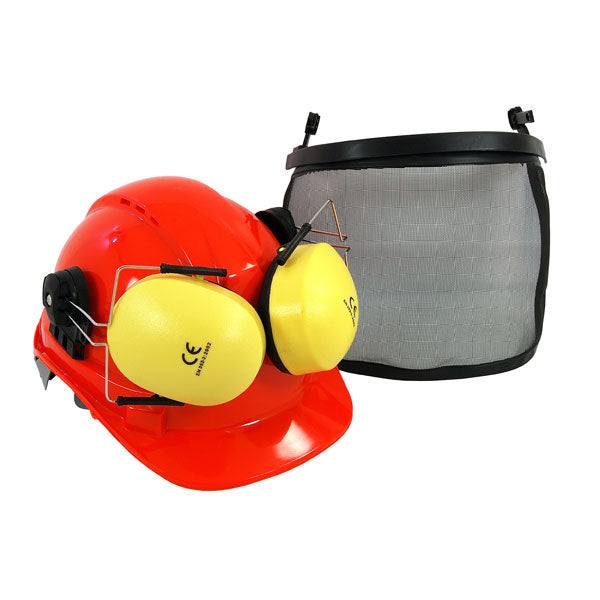 CT5290 - Safety Helmet with Ear Defenders