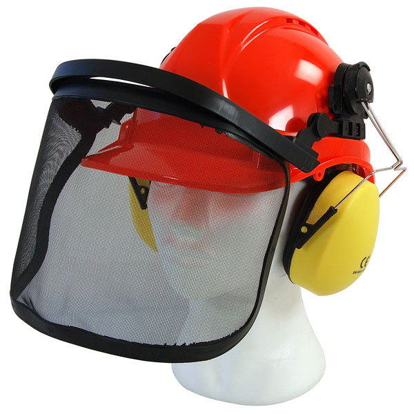 CT5290 - Safety Helmet with Ear Defenders
