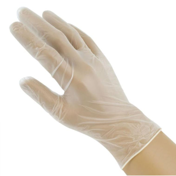 3835 - Vinyl Gloves 5 Pairs