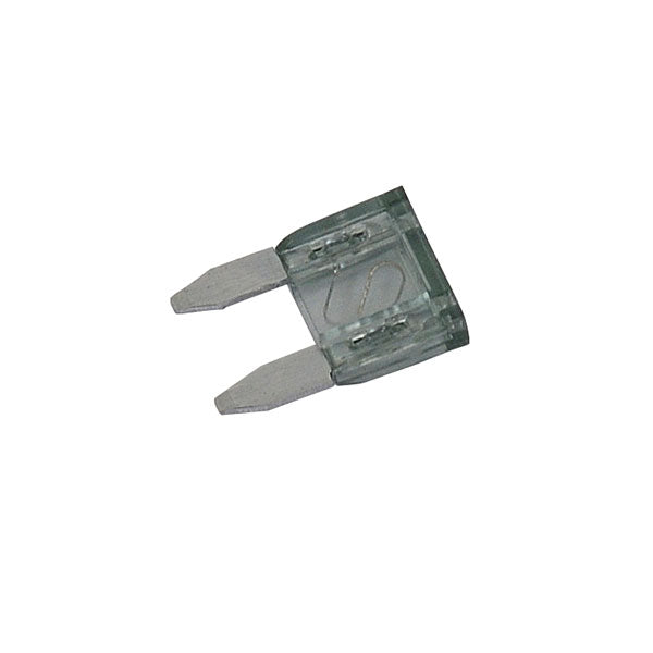 CT2401 - 10pc 2 AMP Mini Fuse Set