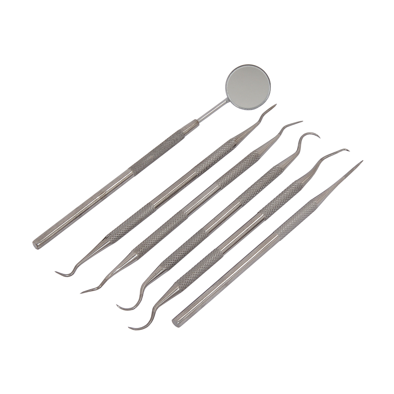 CT3156 - 6pc Pick and Hook Set Stainless Steel / Dental Tool Set