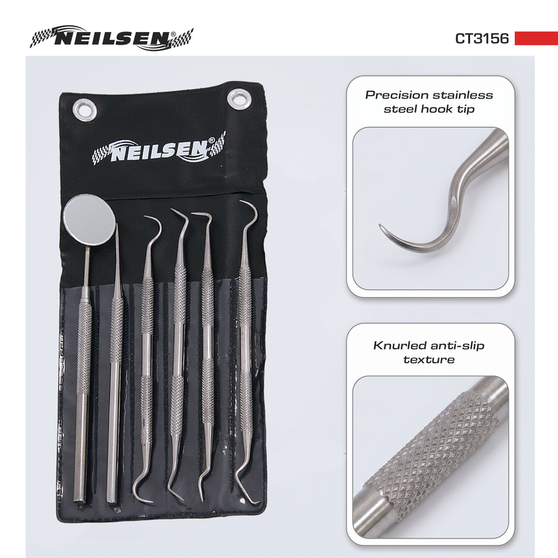 CT3156 - 6pc Pick and Hook Set Stainless Steel / Dental Tool Set