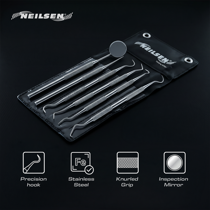 CT3156 - 6pc Pick and Hook Set Stainless Steel / Dental Tool Set