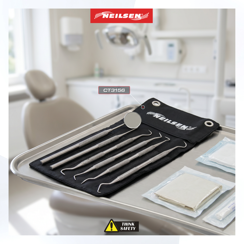 CT3156 - 6pc Pick and Hook Set Stainless Steel / Dental Tool Set