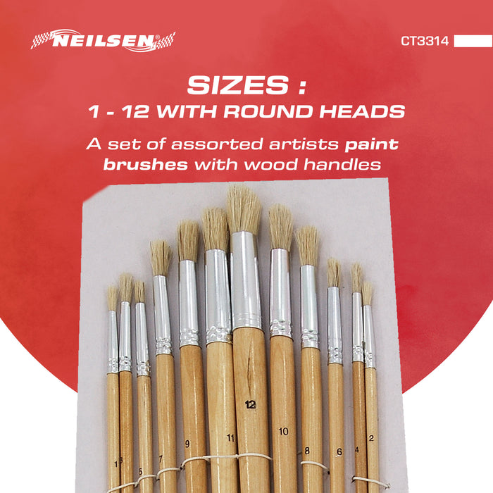 CT3314 - 12pc Art Brush Set