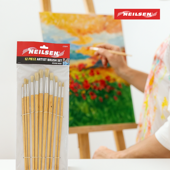 CT3314 - 12pc Art Brush Set