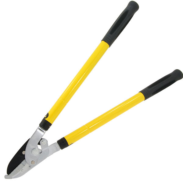 CT3461 - Ratchet Telescopic Tree Lopper