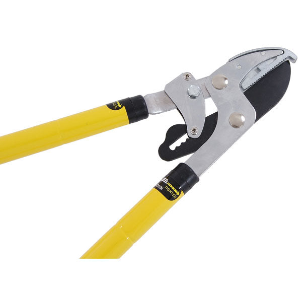 CT3462 - Telescopic Ratchet Tree Lopper