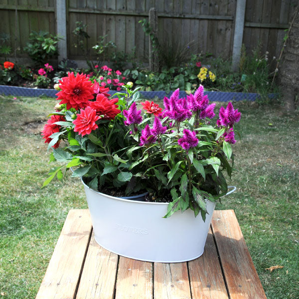 CT5704 -  Oval Flower Bucket