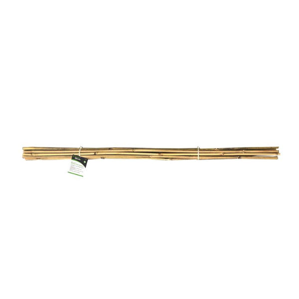 PS212 - 10pc Bamboo Plant Support 120cm
