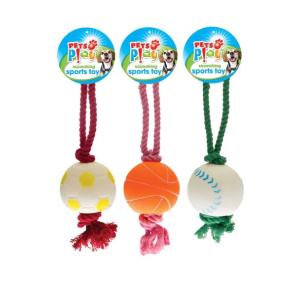 PAP1059 - Squeaking Sports Toy