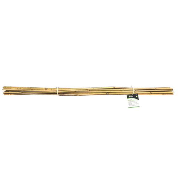 PS213 - 10pc Bamboo Plant Support 150cm