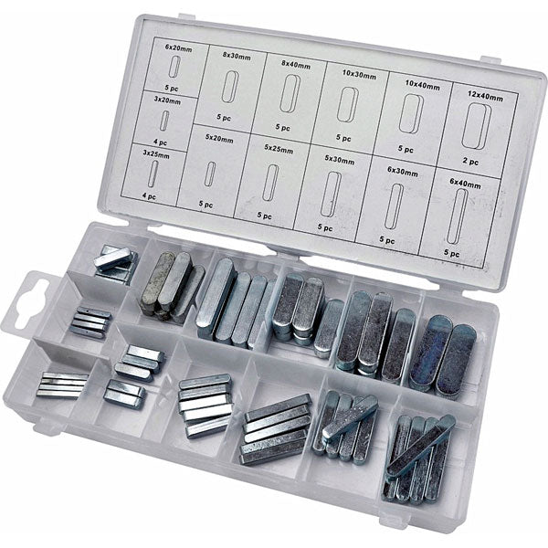 CT4094 - 60pc Feather Key / Parallel Key Set - Assorted